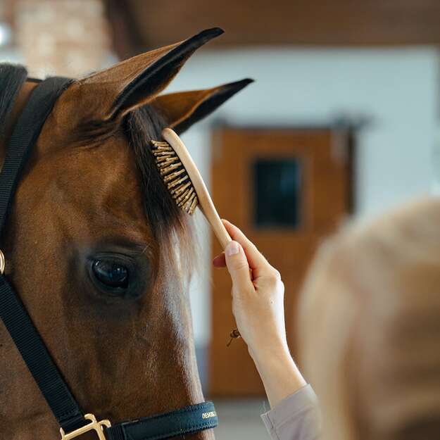 BORSTIQ - Mane/tail brush - wooden - round