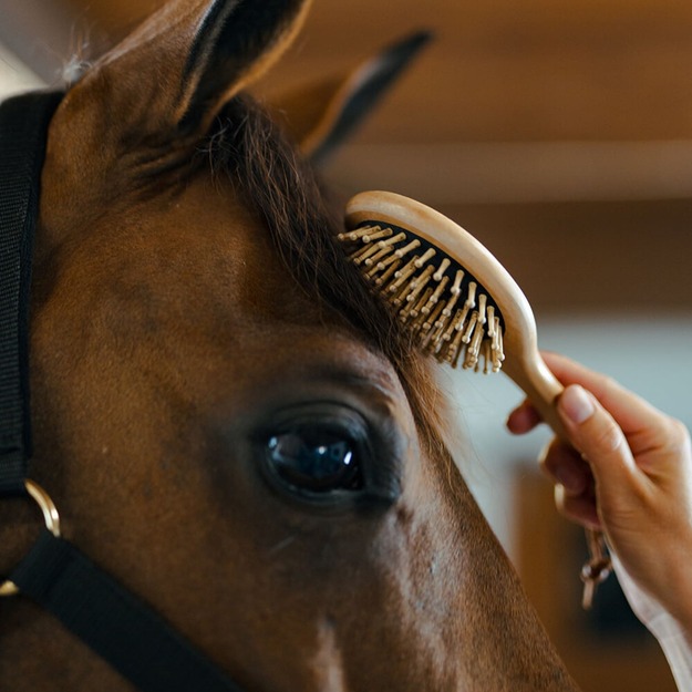 BORSTIQ - Mane/tail brush - wooden - round