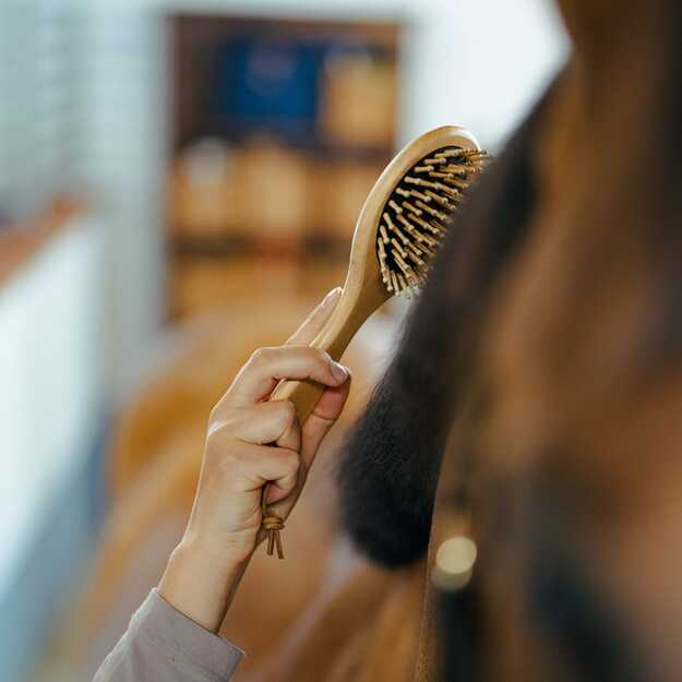 BORSTIQ - Mane/tail brush - wooden - round