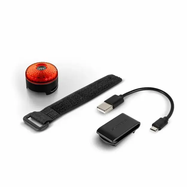 Ezydog - Go2 Dog Light Multicolour