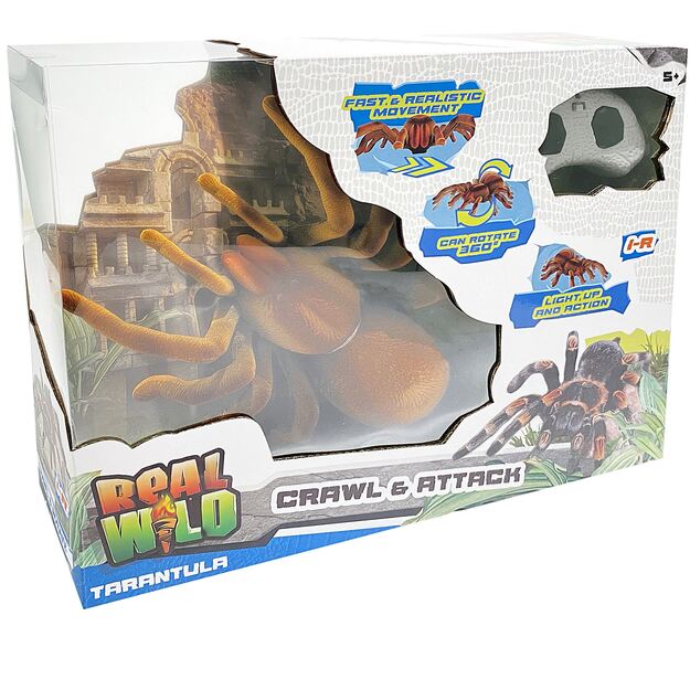 Real Wild - Giant Tarantula Spider (20316)