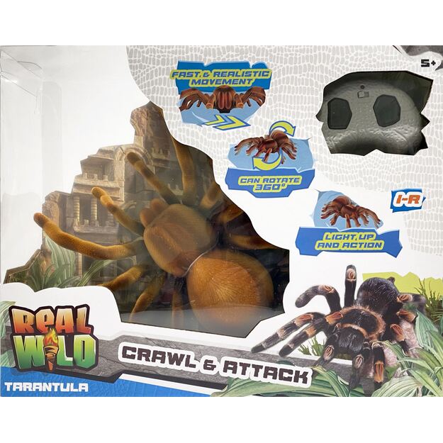 Real Wild - Giant Tarantula Spider (20316)