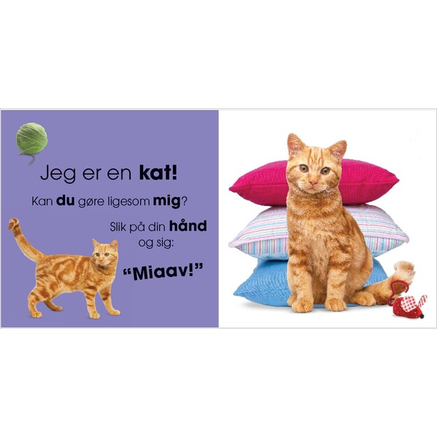 Hvem er jeg? Kæledyr