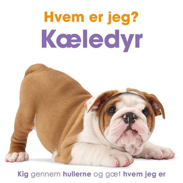 Hvem er jeg? Kæledyr