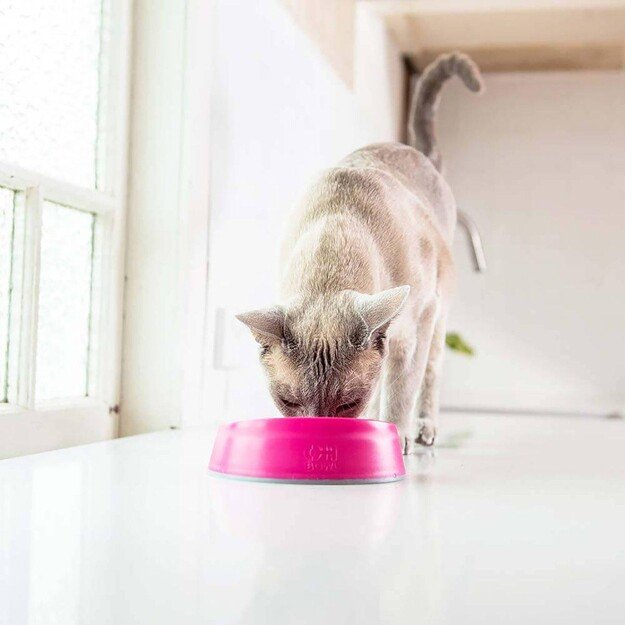 LICKIMAT - Cat Oral Hygiene Bowl Pink Ø15X4,6Cm - (785.5402)