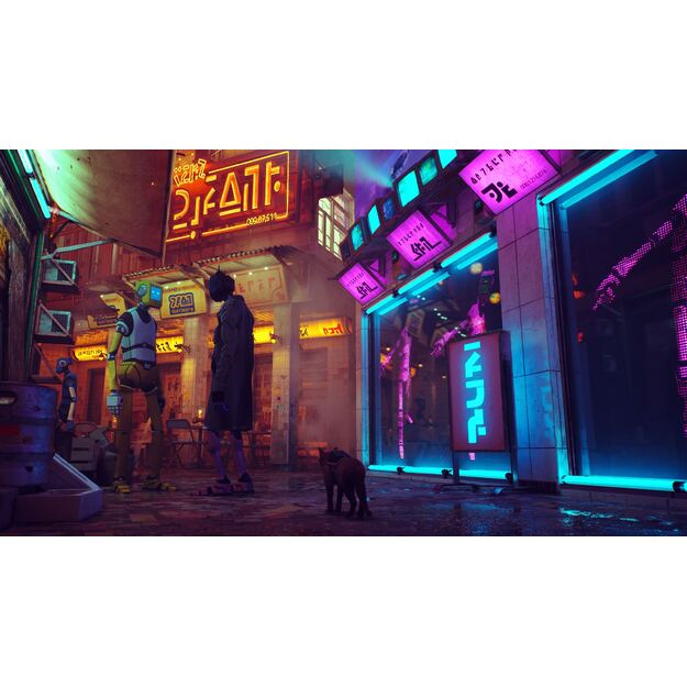 Stray 1