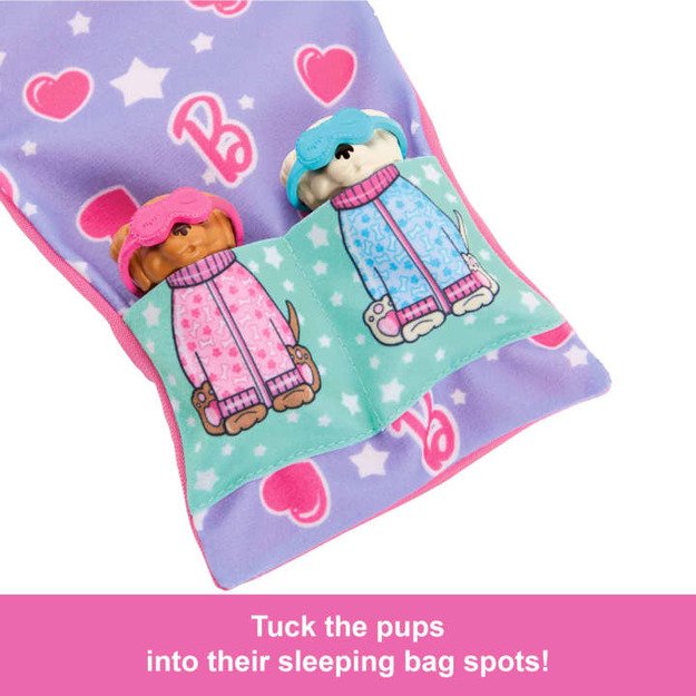 Barbie - Puppy Pyjamas Party (HXN01) 2
