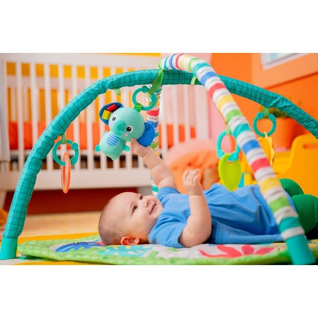 Bright Starts - Wild Wiggles FoldAway Activity Gym - (BS-16814) 1