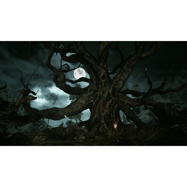KHOLAT
      
        - Nintendo Switch