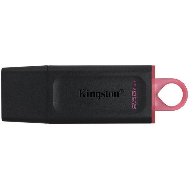 Memory USB flash KINGSTON DTX/256GB