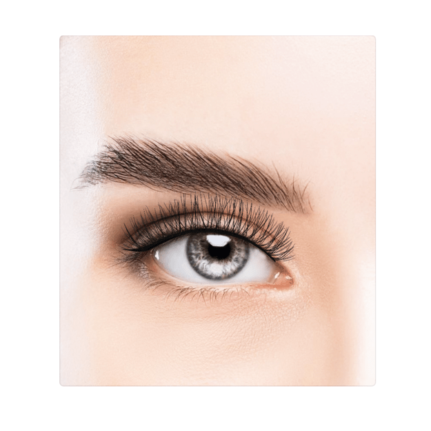 Dashy - Treasure Faux Lash