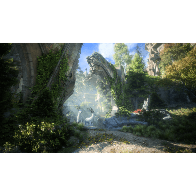 Dragon Age: The Veilguard (Deluxe Edition)

  - Xbox Series X