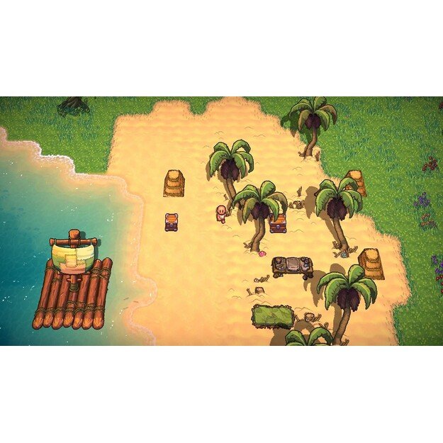 The Survivalists

  - PlayStation 4