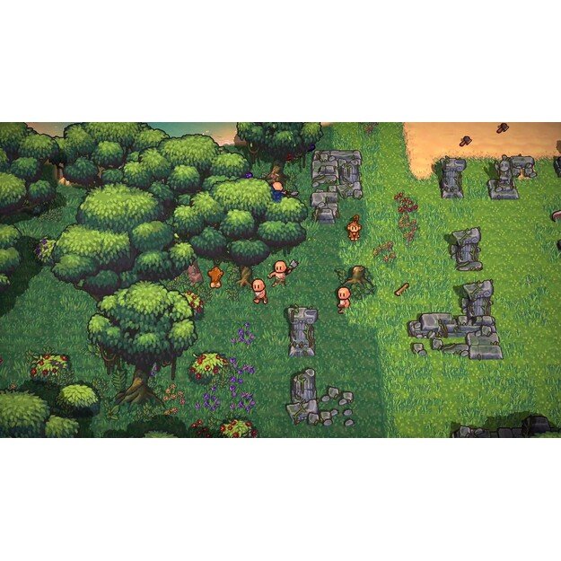 The Survivalists

  - PlayStation 4