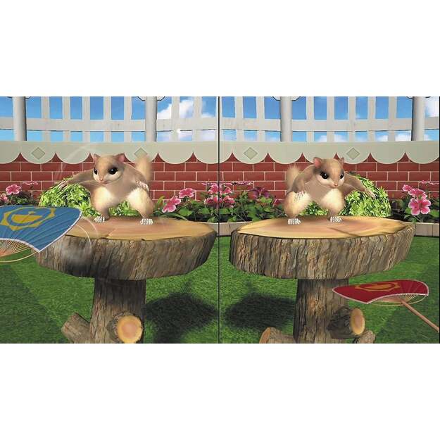 FUN! FUN! Animal Park (Code in Box)
      
        - Nintendo Switch