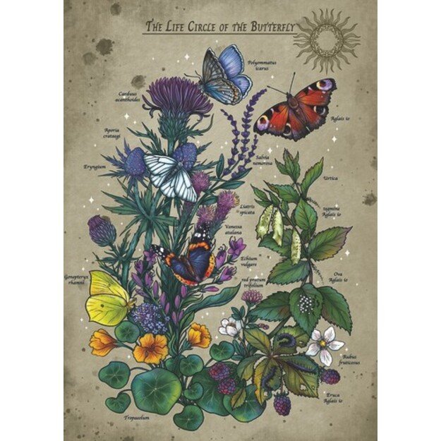 Ravensburger - Lifecircle Butterfly - 1000p (12001435)