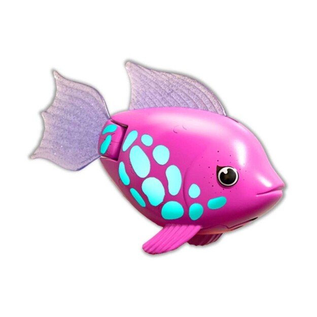Swims - Rainbow Reef Fish - Rainbow Fish (6072523)