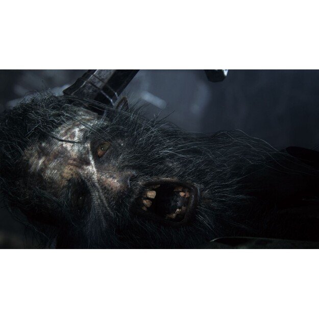 Bloodborne (Game of the Year Edition) (UK/AR)

  - PlayStation 4