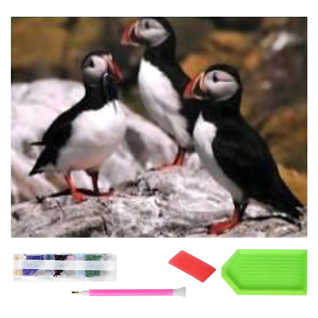 Didelis deimantinis siuvinėjimas 120x60 deimantinis paveikslas su deimantine mozaika XXL rinkinys