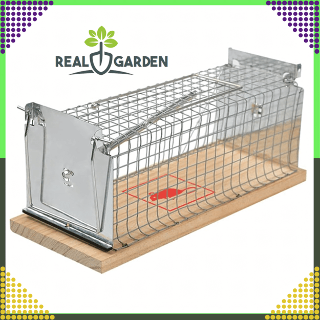 2x Humane Rat Trap Rodent Catcher XXL