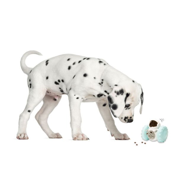 Winkee - Robot toys for pets - Pet Care Robot Toy 2