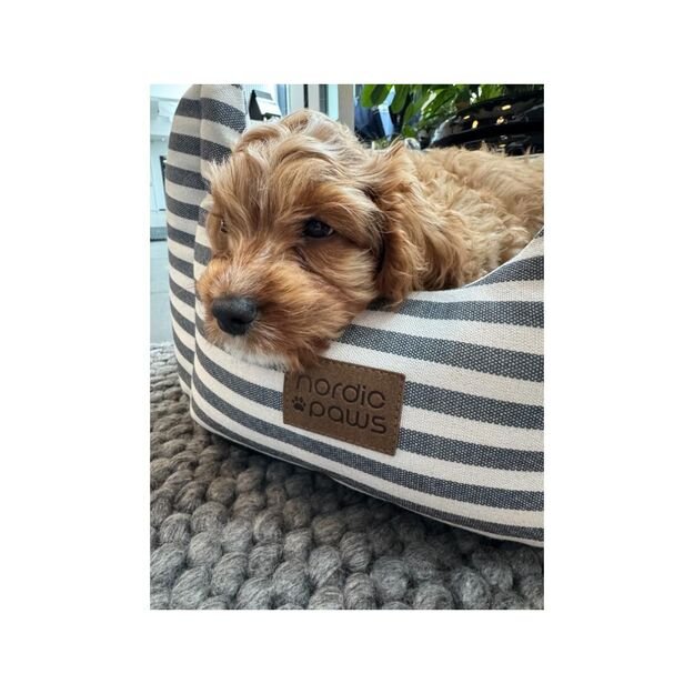 Nordic paws - Bailey Dogbed - Grey - M 3