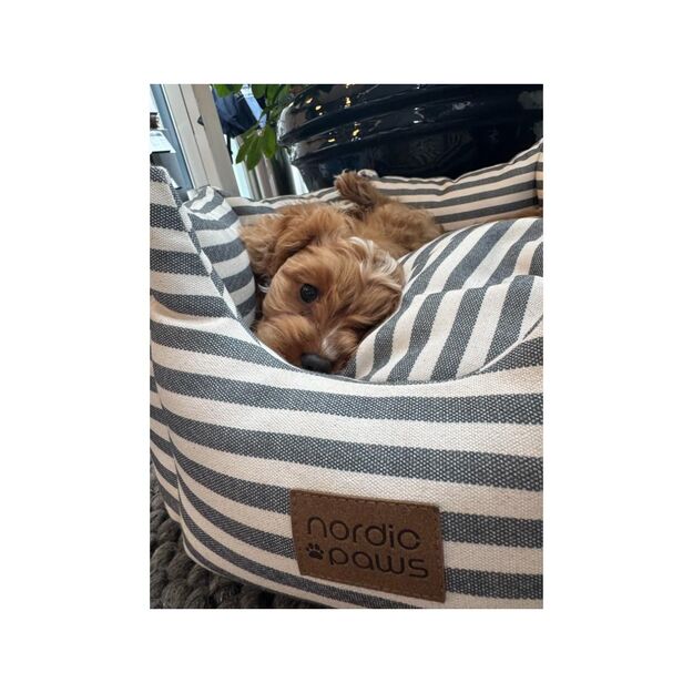 Nordic paws - Bailey Dogbed - Grey - M 4