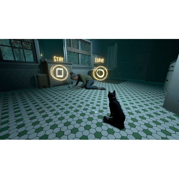 Copycat 9