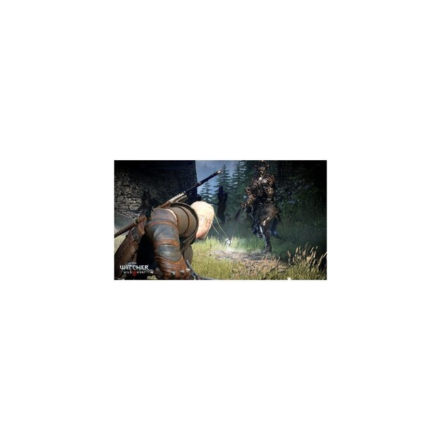 The Witcher III (3) Wild Hunt 1