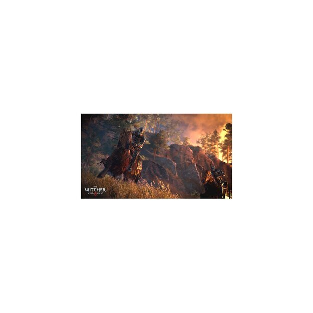 The Witcher III (3) Wild Hunt 2