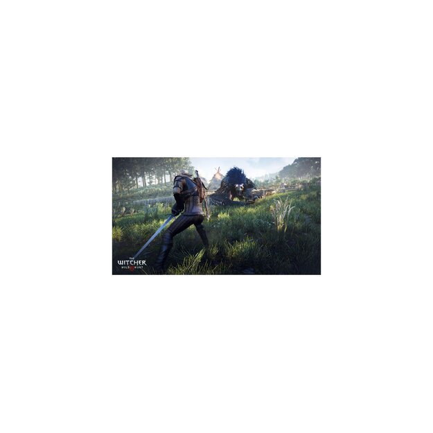 The Witcher III (3) Wild Hunt 3
