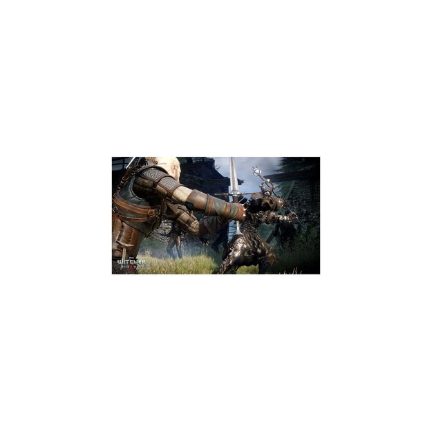 The Witcher III (3) Wild Hunt 6