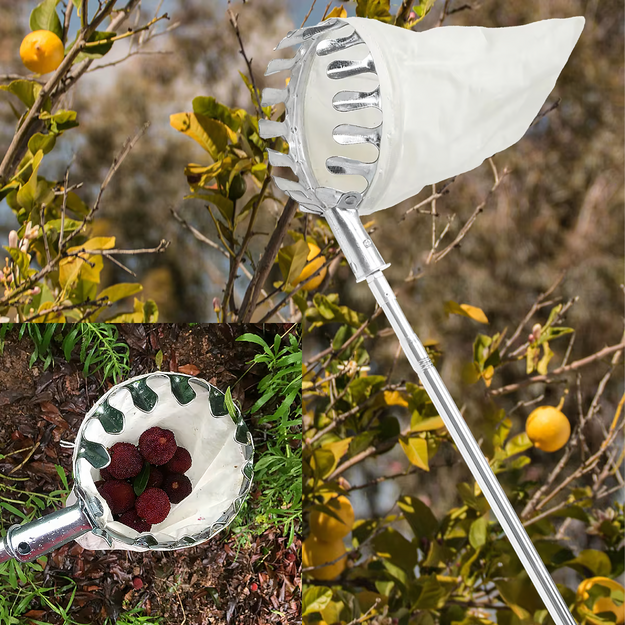 Augļu savācējs Augļu savācējs Teleskopiskais rokturis 400 cm 4 uzgaļi