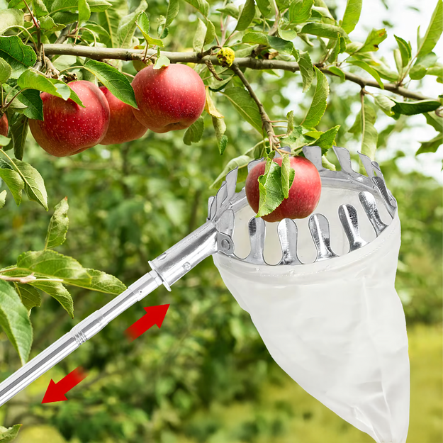 Augļu savācējs Augļu savācējs Teleskopiskais rokturis 400 cm 4 uzgaļi