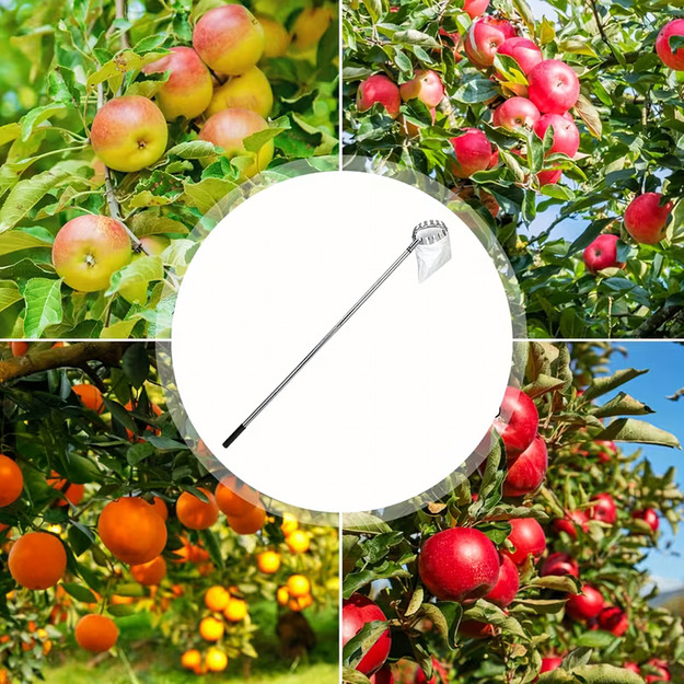 Augļu savācējs Augļu savācējs Teleskopiskais rokturis 400 cm 4 uzgaļi