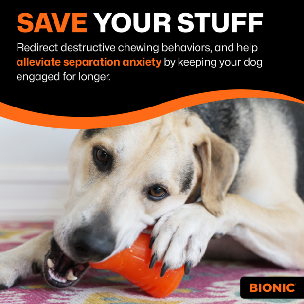 Bionic - Treat Shaker - Large