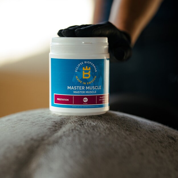 Biofarmab - Master Muscle - 600g