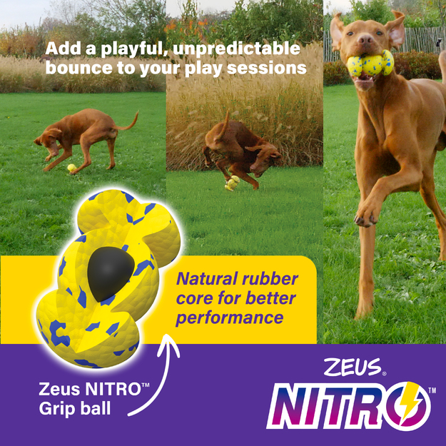 Zeus Nitro - Weighted Rugby Ball - Yellow and Blue - 12.4cm