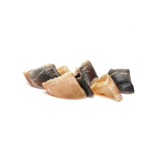 Frigera - Natural Dog Chews - Calf Claw - 10 pcs