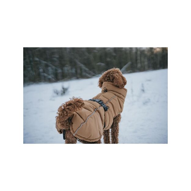 Hunter - Dogcoat Paxson 40, caramel - (203451)