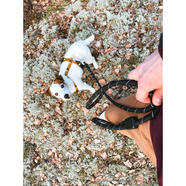 Woolly Wolf - Rope Leash Black - 180 cm  - 10mm