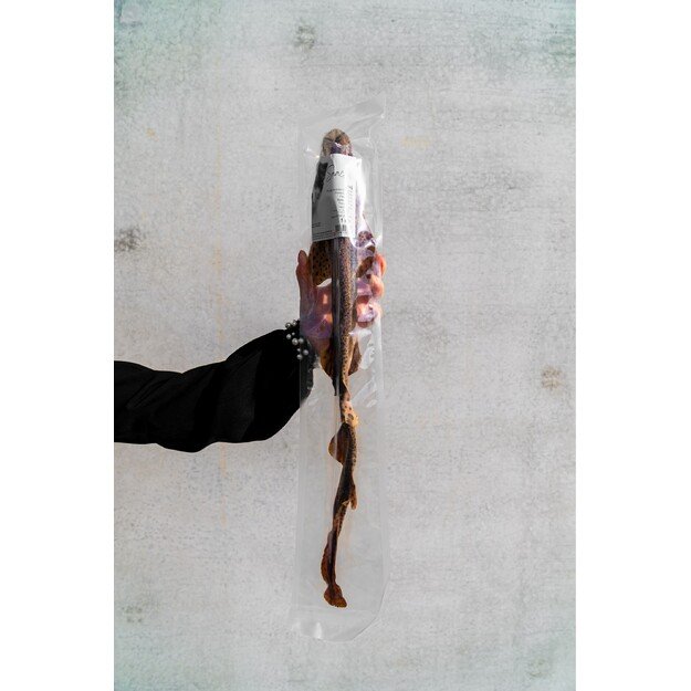 Snack'it - Dog snack Dried Shark 1 piece 40-50cm  - (01-885)