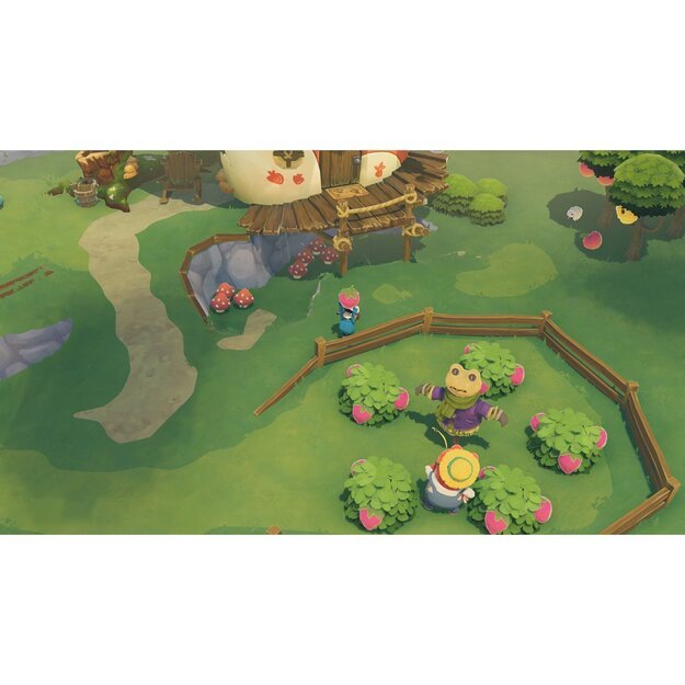 Time on Frog Island 5