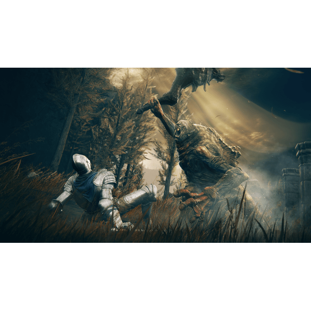 ELDEN RING Shadow of the Erdtree (Collector Edition) 4