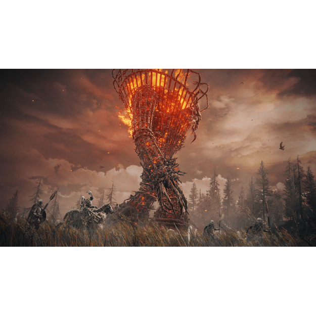 ELDEN RING Shadow of the Erdtree (Collector Edition) 5