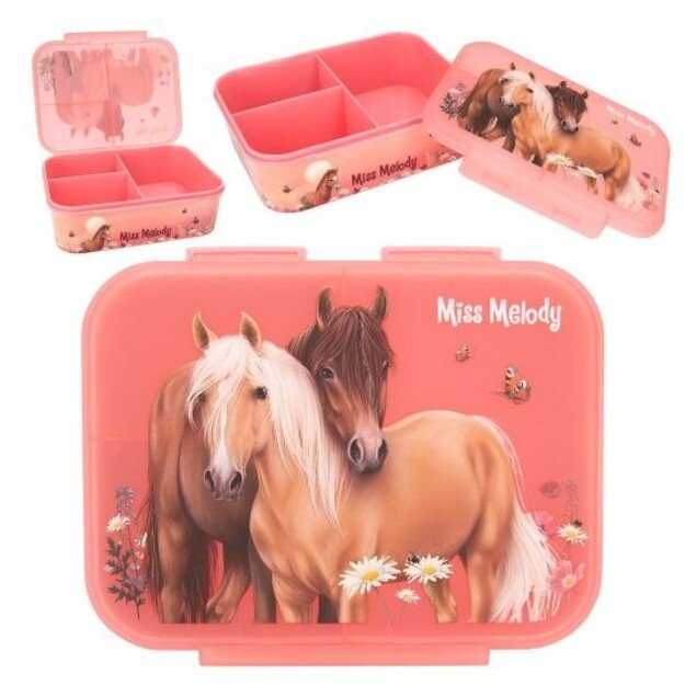 Miss Melody - Lunchbox FLOWERS ( 0412895 ) 4