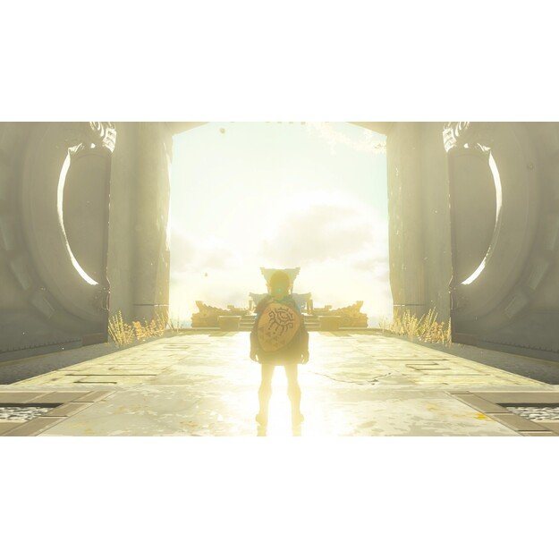 The Legend of Zelda: Tears of the Kingdom
      
        - Nintendo Switch