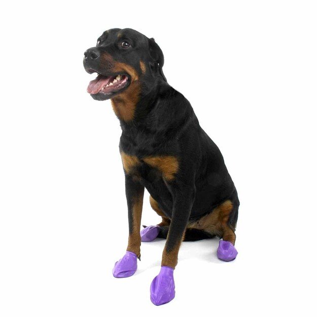 PAWZ - Dog boots L - Purple (632.8050)