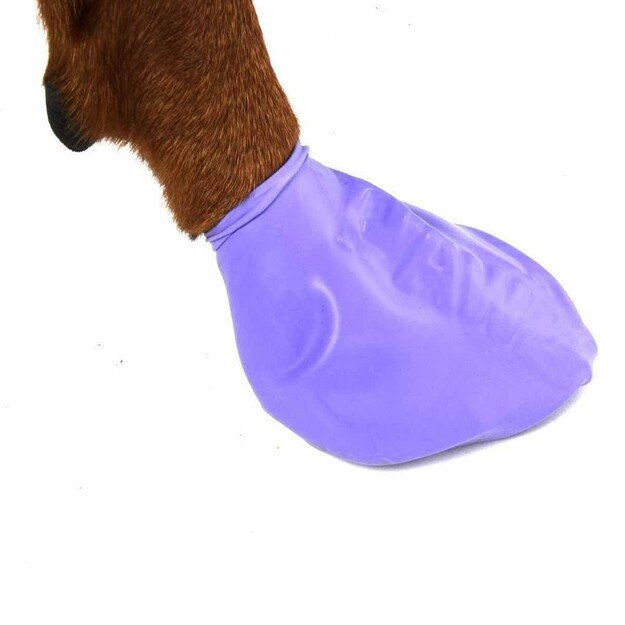 PAWZ - Dog boots L - Purple (632.8050)