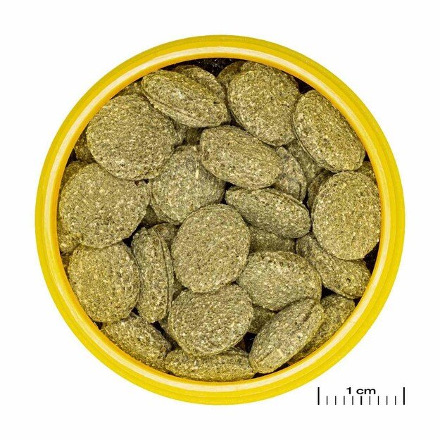 JBL   Pronovo Pleco Wafer M 5,5L   (152.0446)